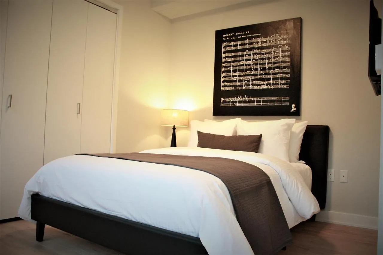 Synergy Chelsea Daire New York